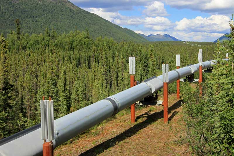 Pipeline ROW with plant health status